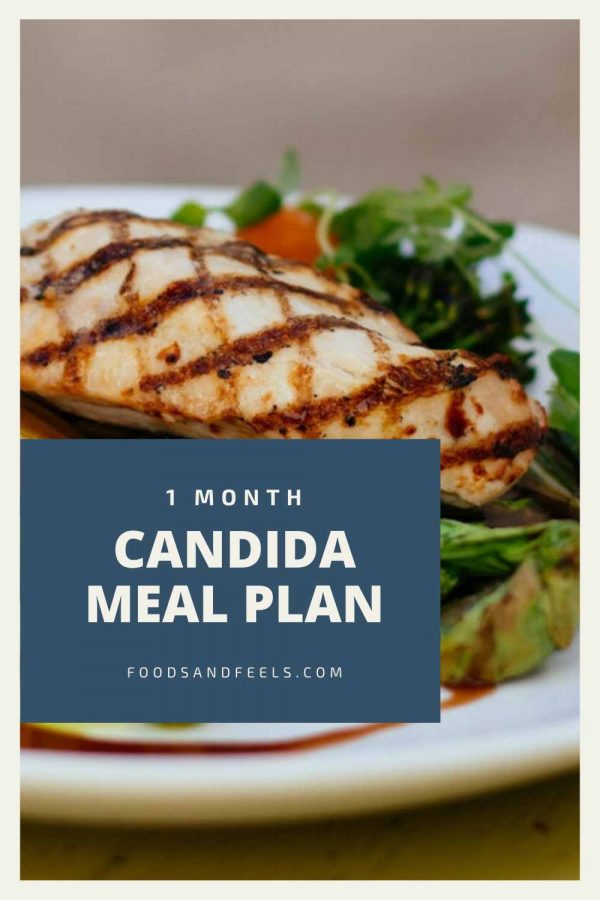 1 month candida diet meal plan