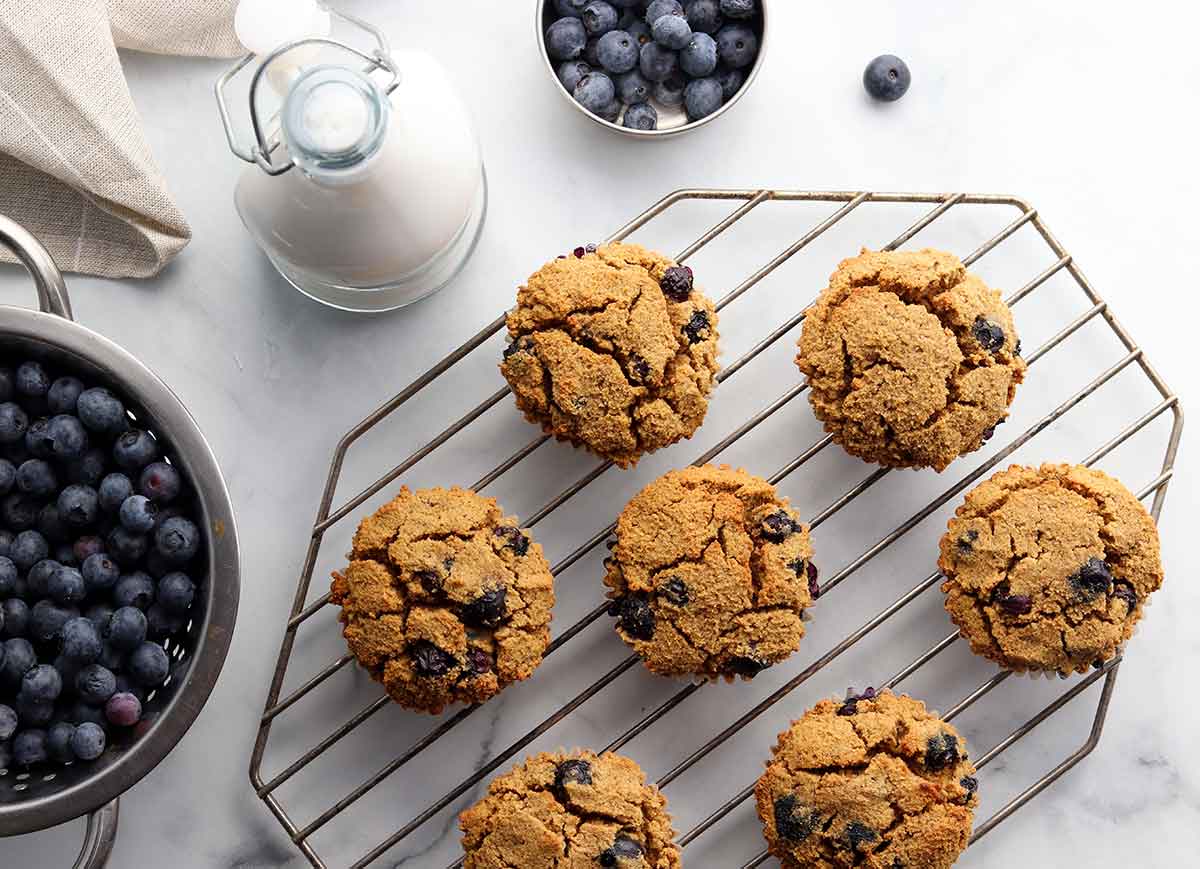 overview of tiger nut flour muffins spaced evenly on a wire cooling rack beside a colander of blueberries 