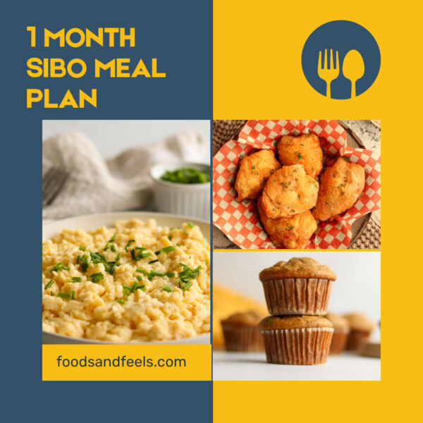 1 Month SIBO Diet Meal Plan (PDF)